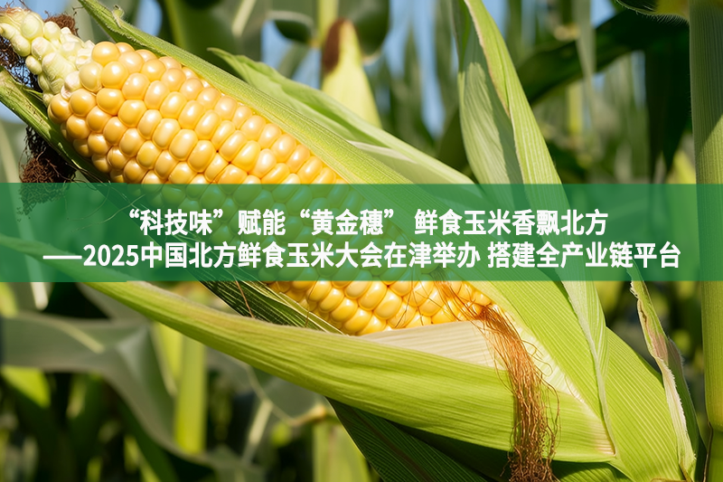 “科技味”賦能“黃金穗” 鮮食玉米香飄北方——2025中國北方鮮食玉米大會在津舉辦 搭建全產業鏈平臺