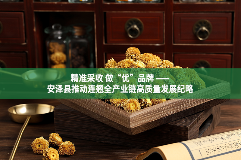 精準采收 做“優(yōu)”品牌 ——安澤縣推動連翹全產(chǎn)業(yè)鏈高質(zhì)量發(fā)展紀略