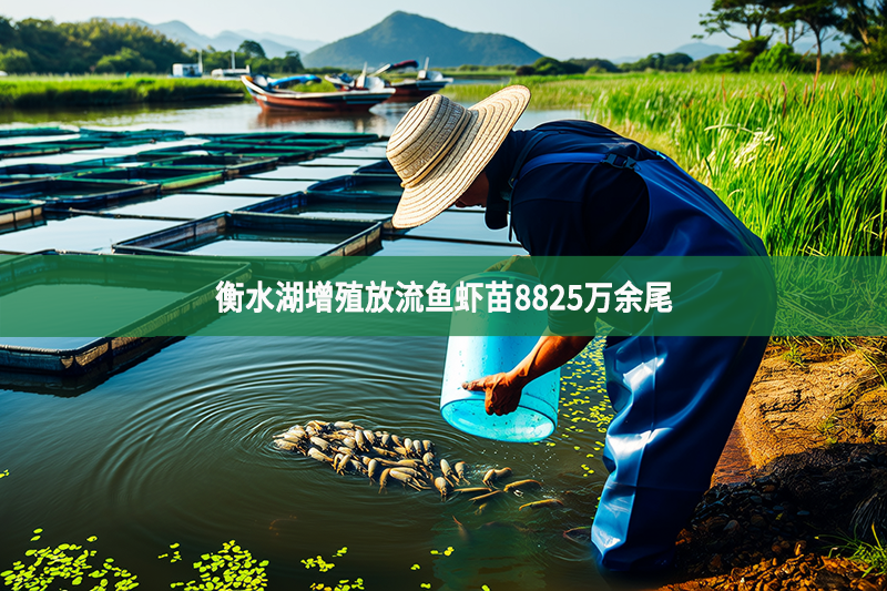 衡水湖增殖放流魚蝦苗8825萬余尾