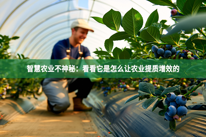 智慧農業不神秘：看看它是怎么讓農業提質增效的