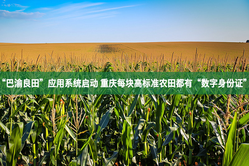 “巴渝良田”應用系統啟動 重慶每塊高標準農田都有“數字身份證”