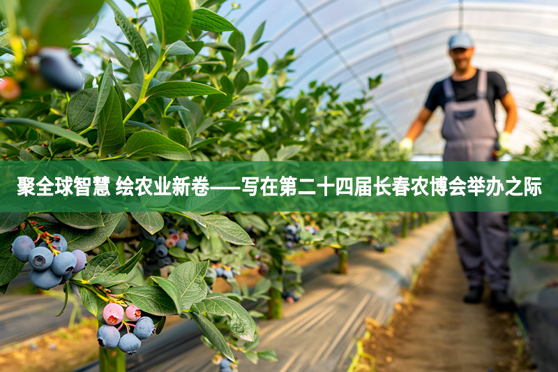 聚全球智慧 繪農業新卷——寫在第二十四屆長春農博會舉辦之際