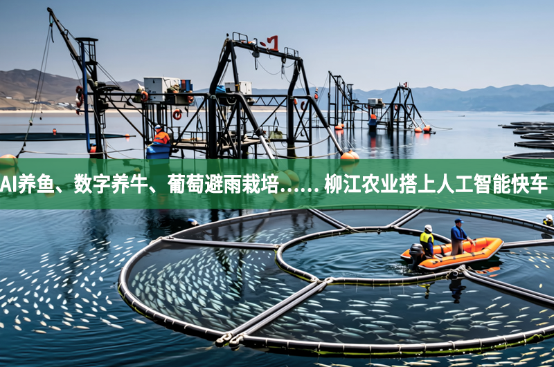 AI養魚、數字養牛、葡萄避雨栽培…… 柳江農業搭上人工智能快車