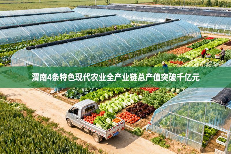 渭南4條特色現代農業全產業鏈總產值突破千億元