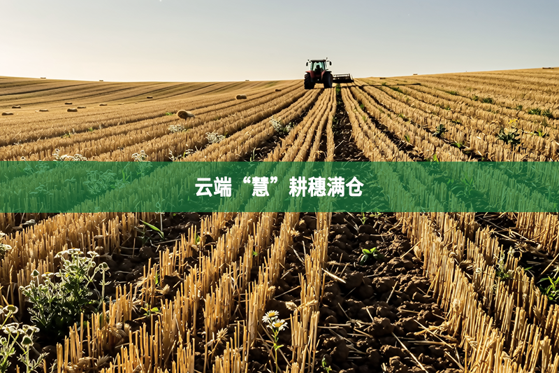 云端“慧”耕穗滿倉