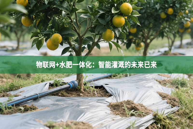 物聯(lián)網(wǎng)+水肥一體化：智能灌溉的未來已來