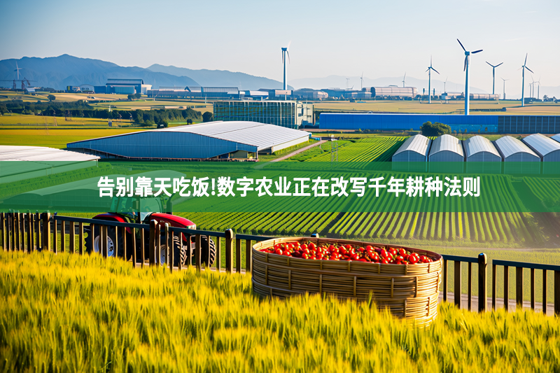 告別靠天吃飯!數字農業正在改寫千年耕種法則