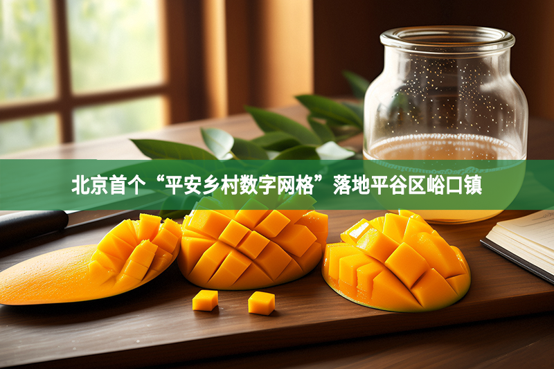 北京首個“平安鄉村數字網格”落地平谷區峪口鎮