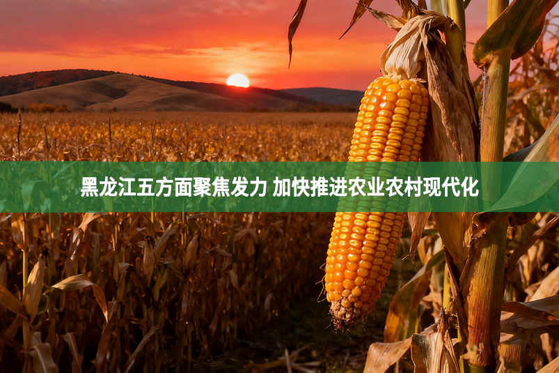 黑龍江五方面聚焦發力 加快推進農業農村現代化