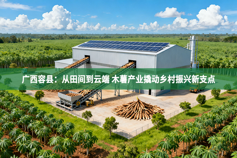 廣西容縣：從田間到云端 木薯產(chǎn)業(yè)撬動(dòng)鄉(xiāng)村振興新支點(diǎn)