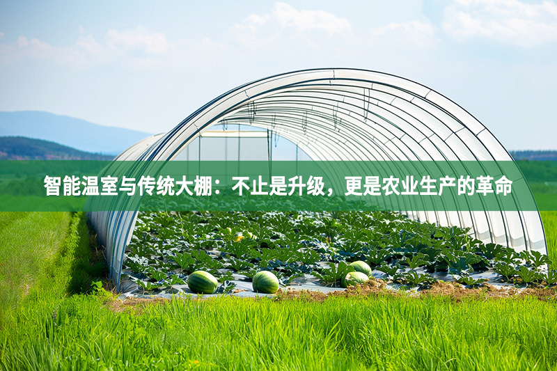 智能溫室與傳統(tǒng)大棚：不止是升級，更是農(nóng)業(yè)生產(chǎn)的革命