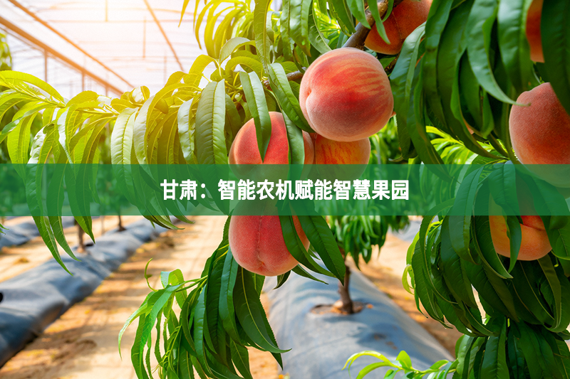 甘肅：智能農機賦能智慧果園