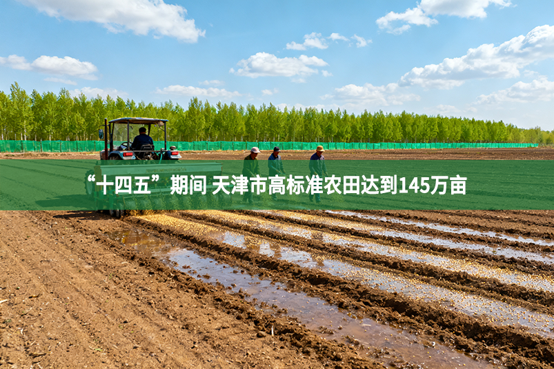 “十四五”期間 天津市高標(biāo)準(zhǔn)農(nóng)田達(dá)到145萬(wàn)畝