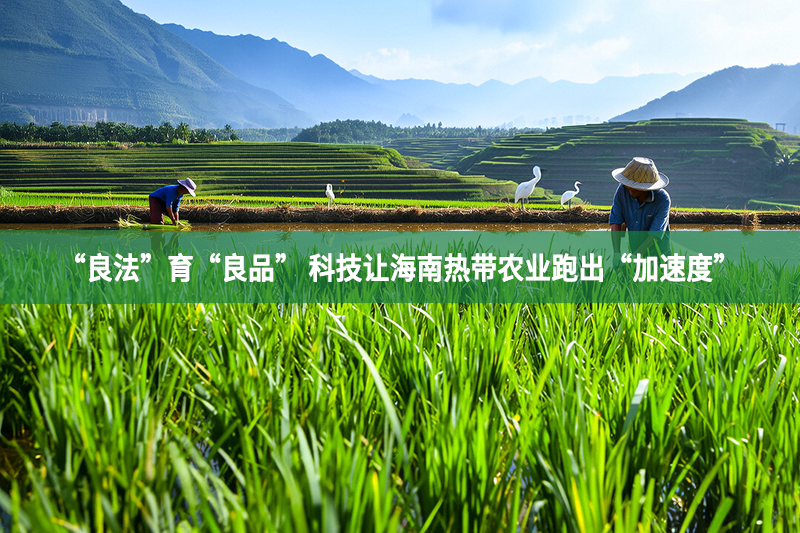 “良法”育“良品” 科技讓海南熱帶農業跑出“加速度”