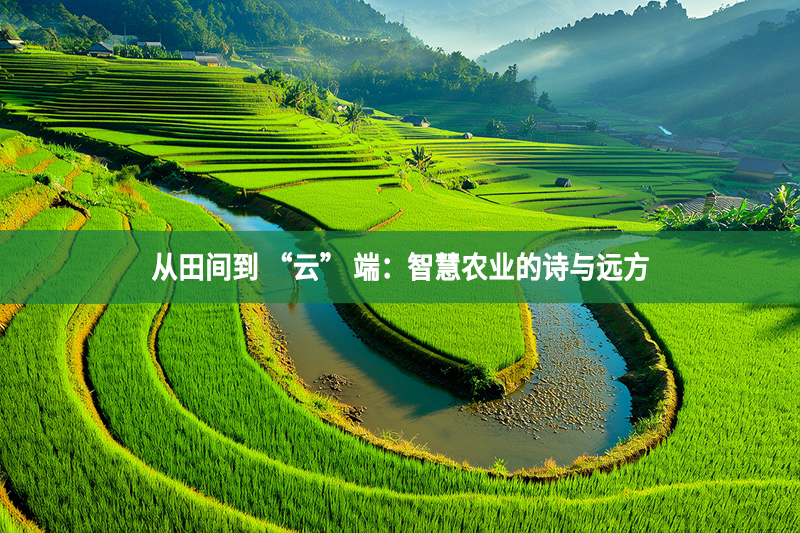 從田間到 “云” 端：智慧農(nóng)業(yè)的詩(shī)與遠(yuǎn)方
