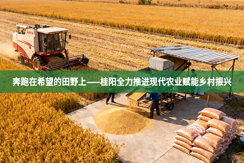 奔跑在希望的田野上——桂陽全力推進(jìn)現(xiàn)代農(nóng)業(yè)賦能鄉(xiāng)村振興