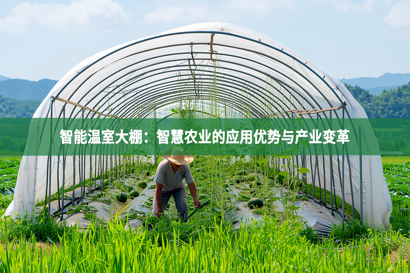 智能溫室大棚：智慧農業的應用優勢與產業變革
