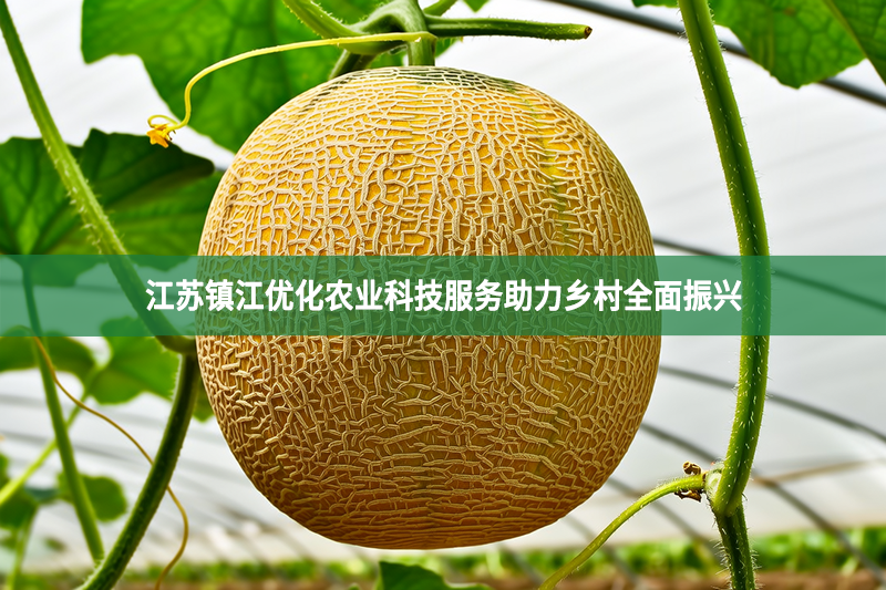 江蘇鎮(zhèn)江優(yōu)化農(nóng)業(yè)科技服務(wù)助力鄉(xiāng)村全面振興
