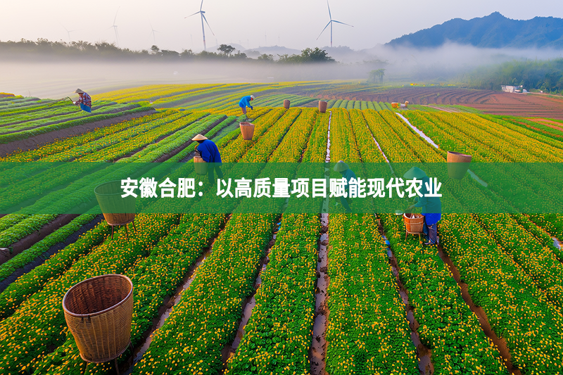 安徽合肥：以高質(zhì)量項目賦能現(xiàn)代農(nóng)業(yè)