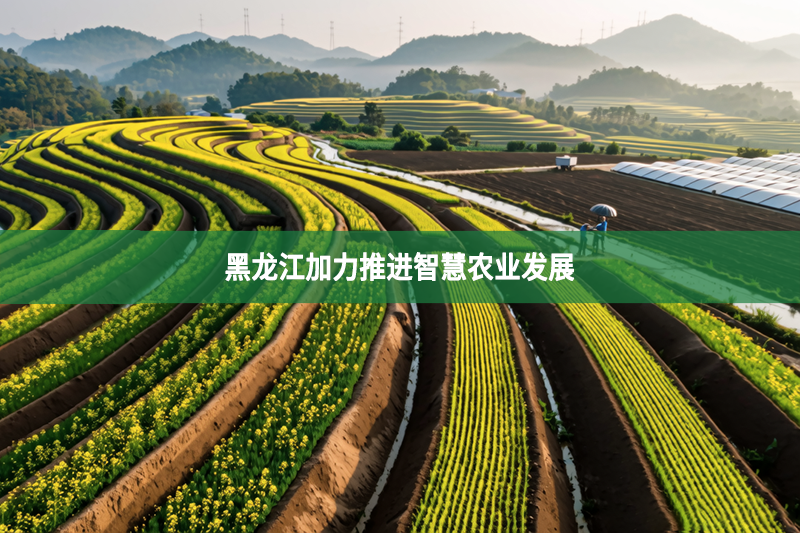 黑龍江加力推進(jìn)智慧農(nóng)業(yè)發(fā)展