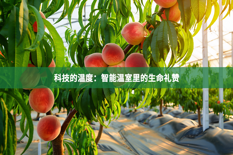 科技的溫度：智能溫室里的生命禮贊