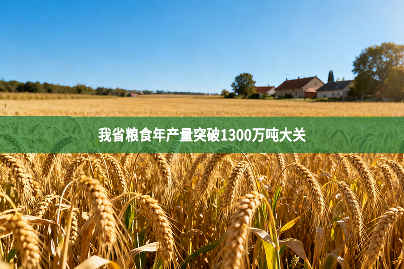 我省糧食年產(chǎn)量突破1300萬(wàn)噸大關(guān)