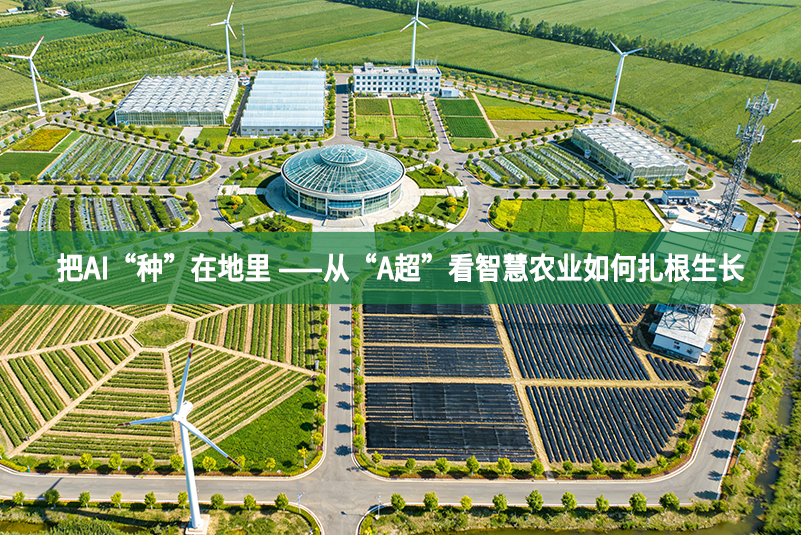 把AI“種”在地里 ——從“A超”看智慧農(nóng)業(yè)如何扎根生長(zhǎng)